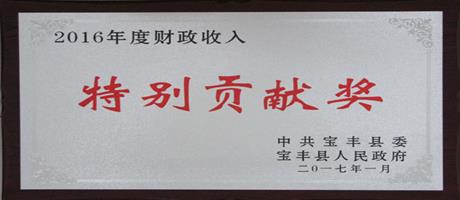 2016年度財(cái)政收入特別貢獻(xiàn)獎(jiǎng)