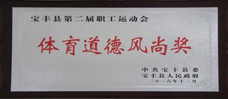 寶豐縣第二屆職工運(yùn)動(dòng)會(huì)體育道德風(fēng)尚獎(jiǎng)